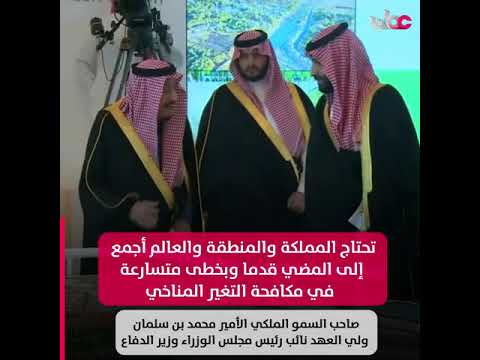 المبادرة الخضراء.. أكبر برنامج إعادة تشجير في العالم