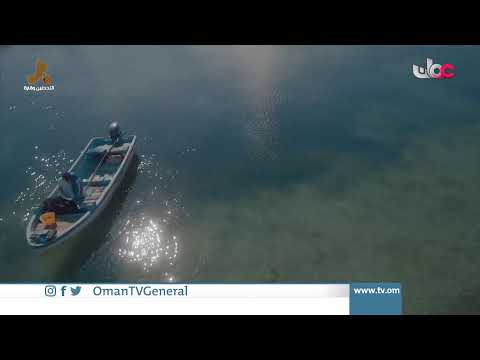 #قهوة_الصباح | الخميس 1 يوليو 2021م