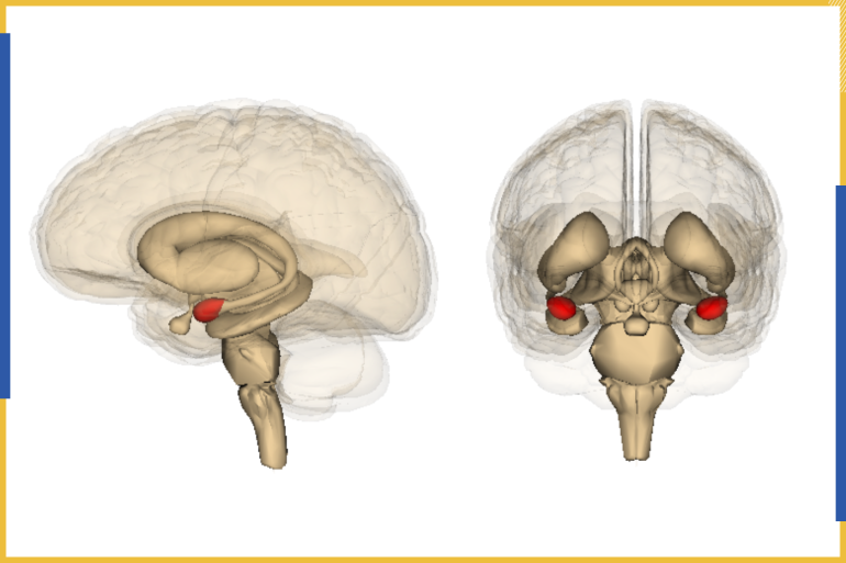 D8B5D988D8B1D8A9 D8AFD8A7D8AED984D98AD8A9 5