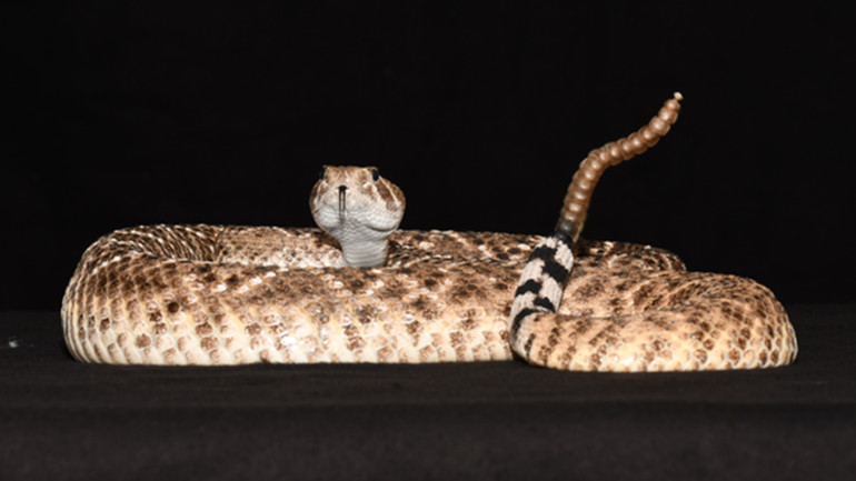 D988D987D985 D8B3D985D8B9D98A 3