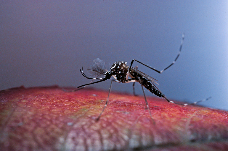 GettyImages 522193516