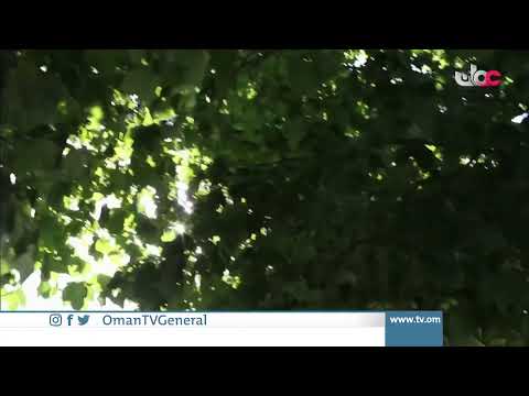 #قهوة_الصباح | الأحد 1 أغسطس 2021م