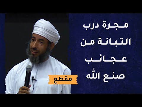 مجرة درب التبانة من عجائب صنع الله – أرقام فلكية عجيبة