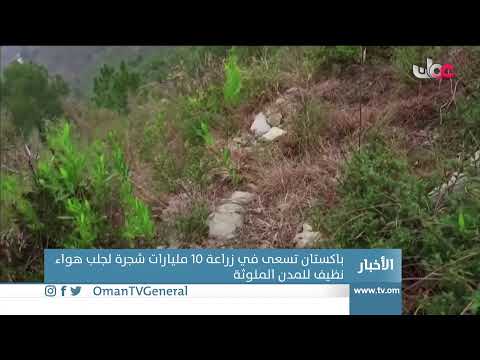 #أخبار_الثانية ظهرا | الأربعاء 11 أغسطس 2021م