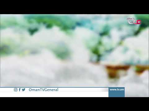 #قهوة_الصباح | الأربعاء 18 أغسطس 2021م