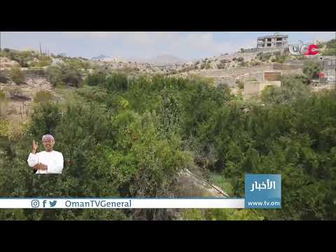 #أخبار_العاشرة | الأربعاء 18 أغسطس 2021م