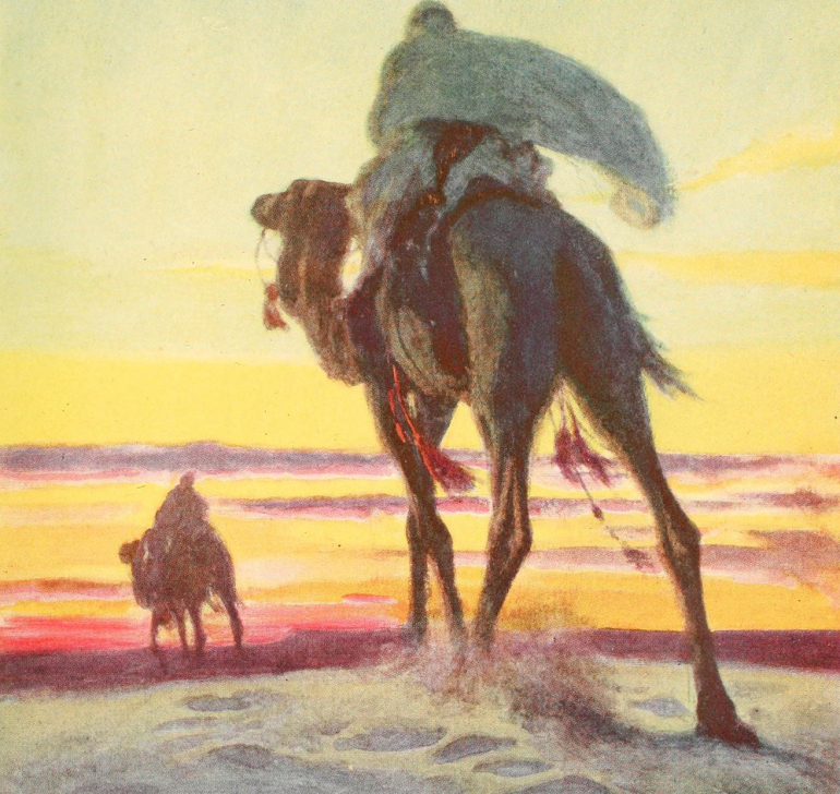 الهاربون من بطش السلطة وظلمة السجون.. إمام الثورة العباسية يقودها من تحت الأرض ومليار دولار عقوبة لإيواء خليفة مطارَد 9 14580517757 1f67f63d04 b