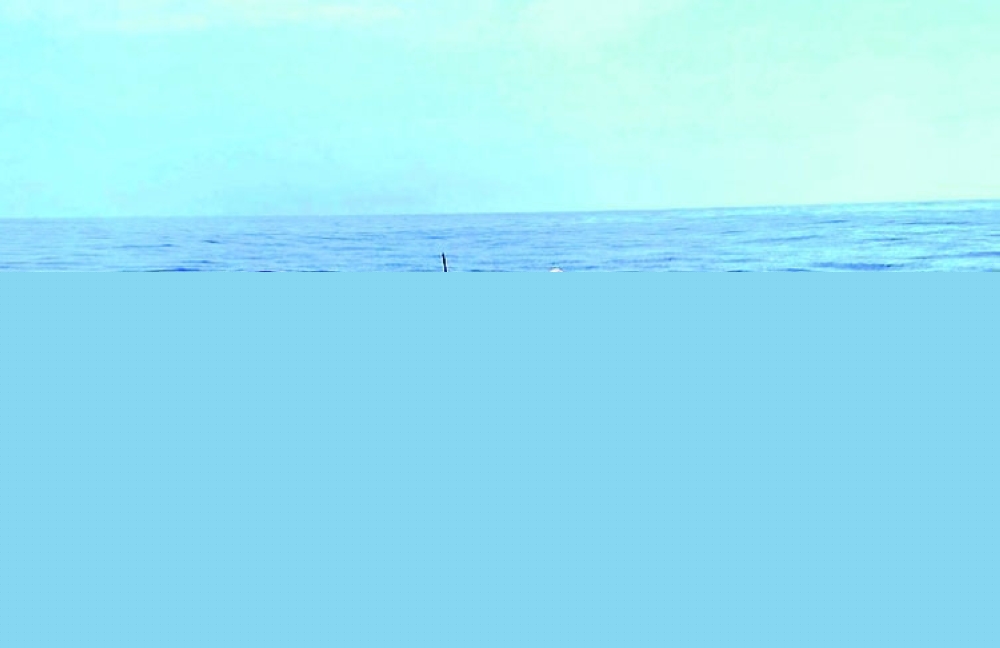 ضبط 12 وافدا مخالفا لقانون الصيد والتحفظ على 4 قوارب