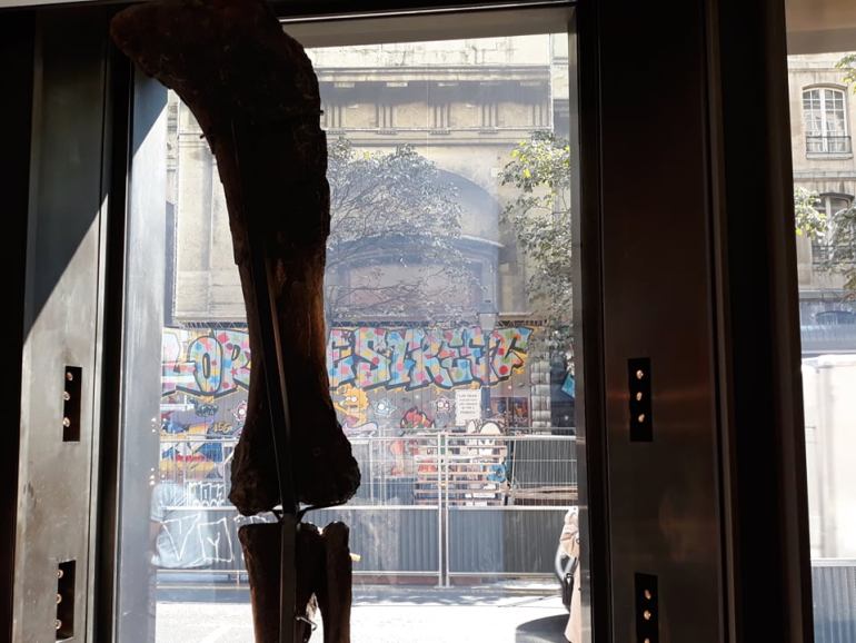 43 6764423464290880606 n