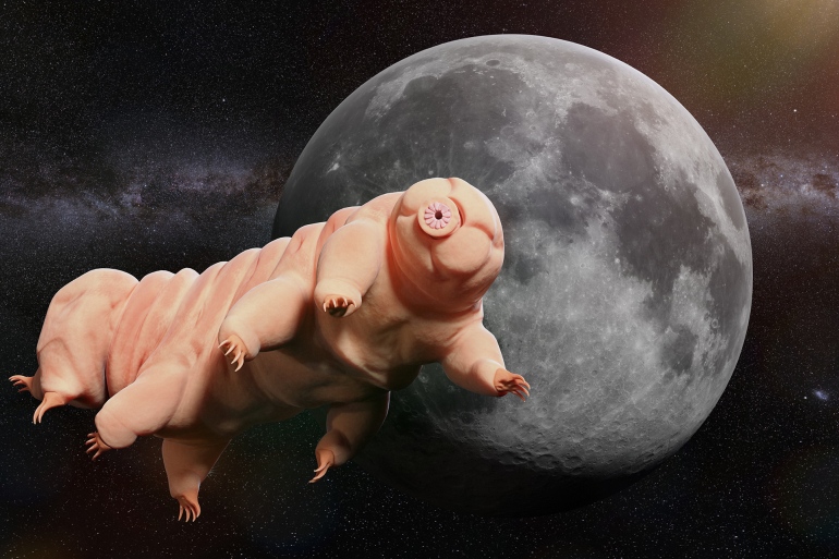 8 23