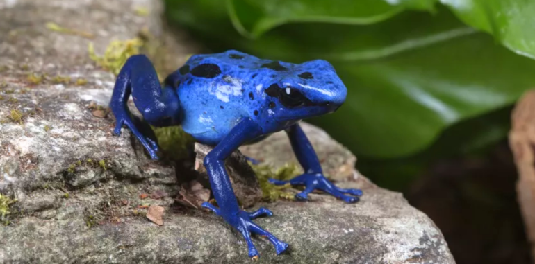 D8A7D984D8A3D8B2D8B1D982 2