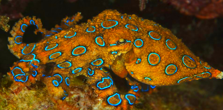 D8A7D984D8A3D8B2D8B1D982 4