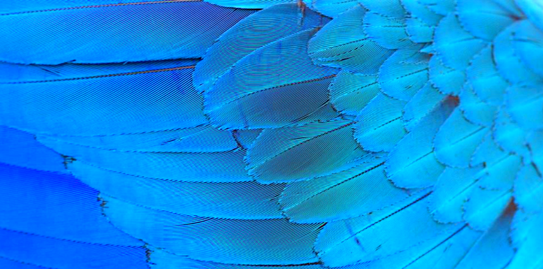 D8A7D984D8A3D8B2D8B1D982 5