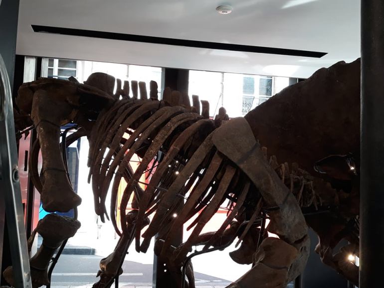 D8AED8A7D8B5 D8A7D984D8ACD8B2D98AD8B1D8A9 D986D8AA 5