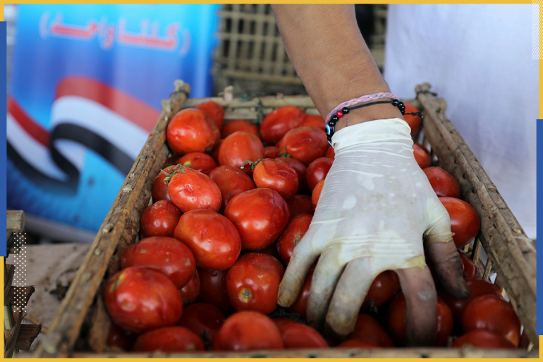 الطماطم الفاسدة.. هل يقف العالم العربي على حافة أزمة غذاء طاحنة؟