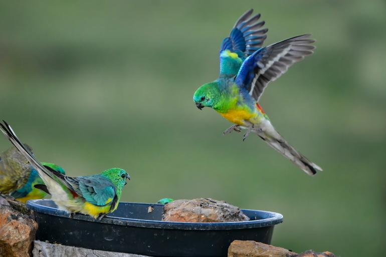 GettyImages 1223898015