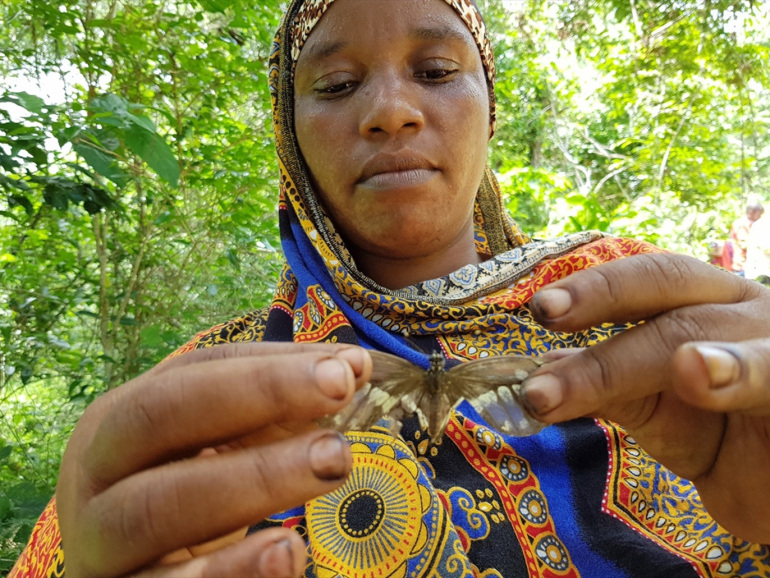 c4e47d7a 830e 4843 a56e 47796fe0bedb