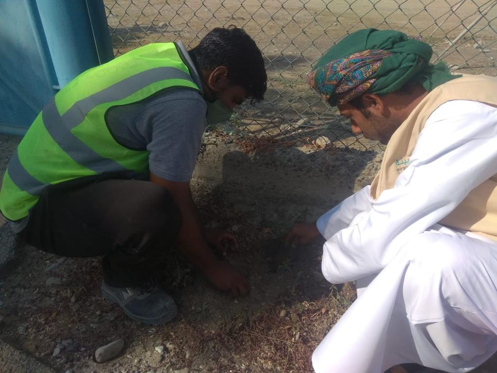 مركز البيئة بالسويق ينفذ حملة لتوزيع وإستزراع الاشجار 4 IMG 20211130 WA0025