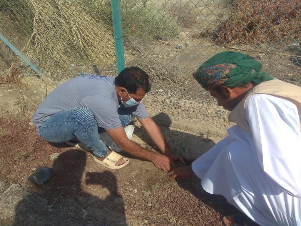 مركز البيئة بالسويق ينفذ حملة لتوزيع وإستزراع الاشجار 5 IMG 20211130 WA0026