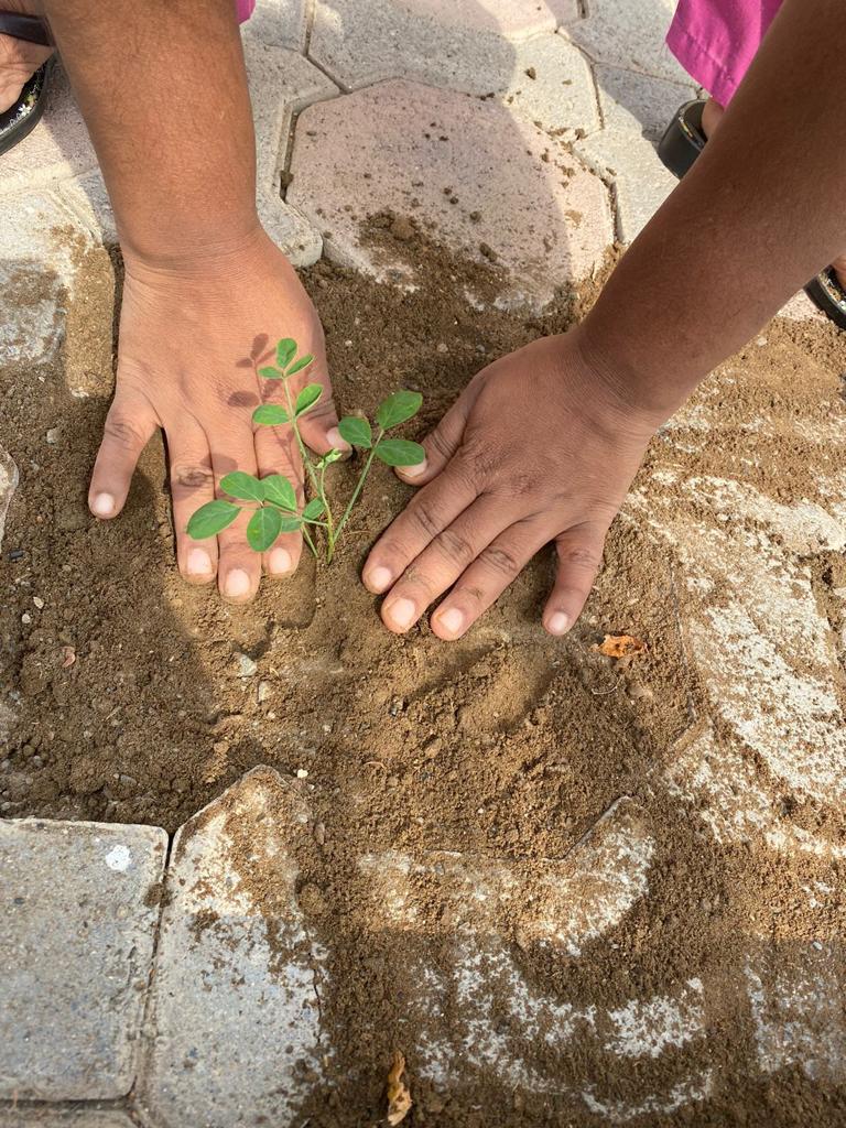 مركز البيئة بالسويق ينفذ حملة لتوزيع وإستزراع الاشجار 2 IMG 20211130 WA0032 1