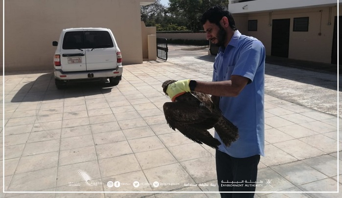 Injured birds rescued in Dhofar