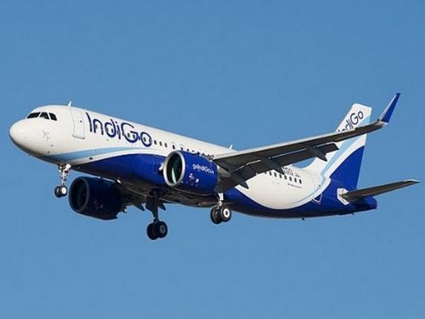 IndiGo appoints co-founder Rahul Bhatia as Managing Director