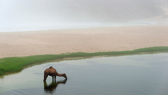 Limited-edition photobook of Oman published by veteran photographer