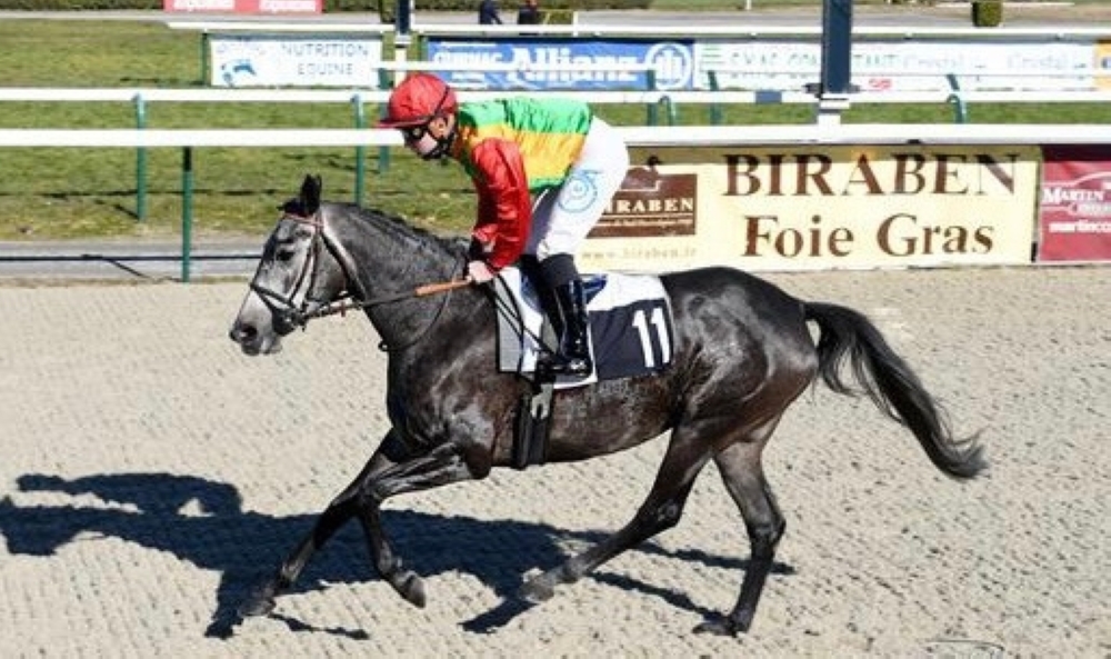 الفرس “كوثر” تفوز بالمركز الأول على مضمار بو الفرنسي