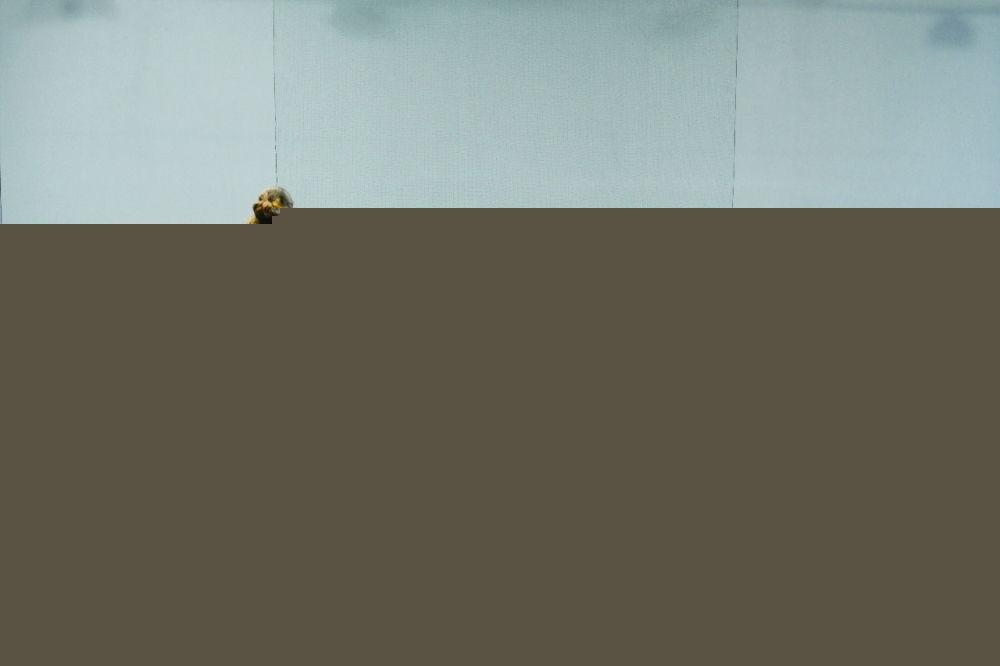 6 مواجهات في الجولة السادسة من دوري قدم الصالات النسائي.. غداً