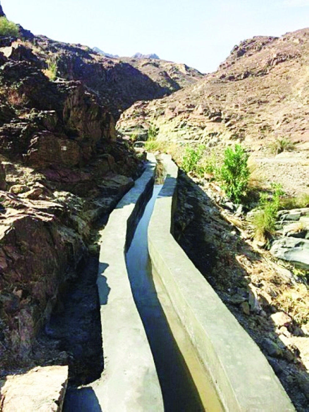 “الثروة الزراعية”: الانتهاء من صيانة 70 فلجا خلال العام الماضي