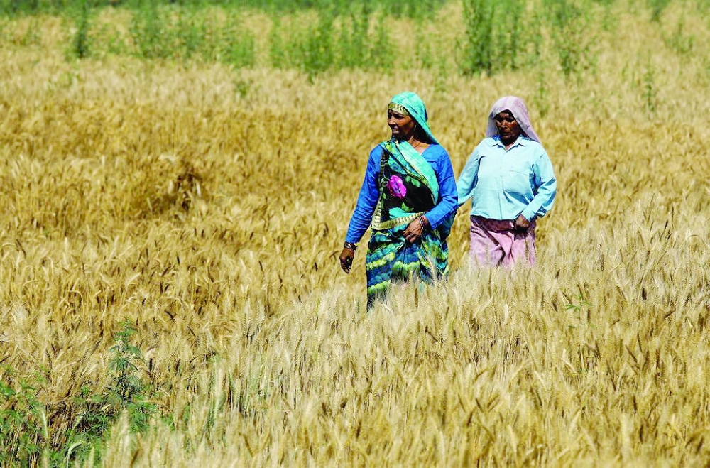 All-women news organisation in rural India elated at Oscar nod