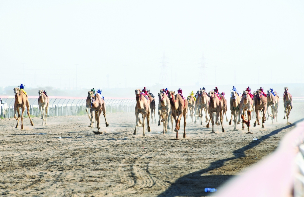 غدا الكشف عن تفاصيل مهرجان البشائر السنوي الخامس