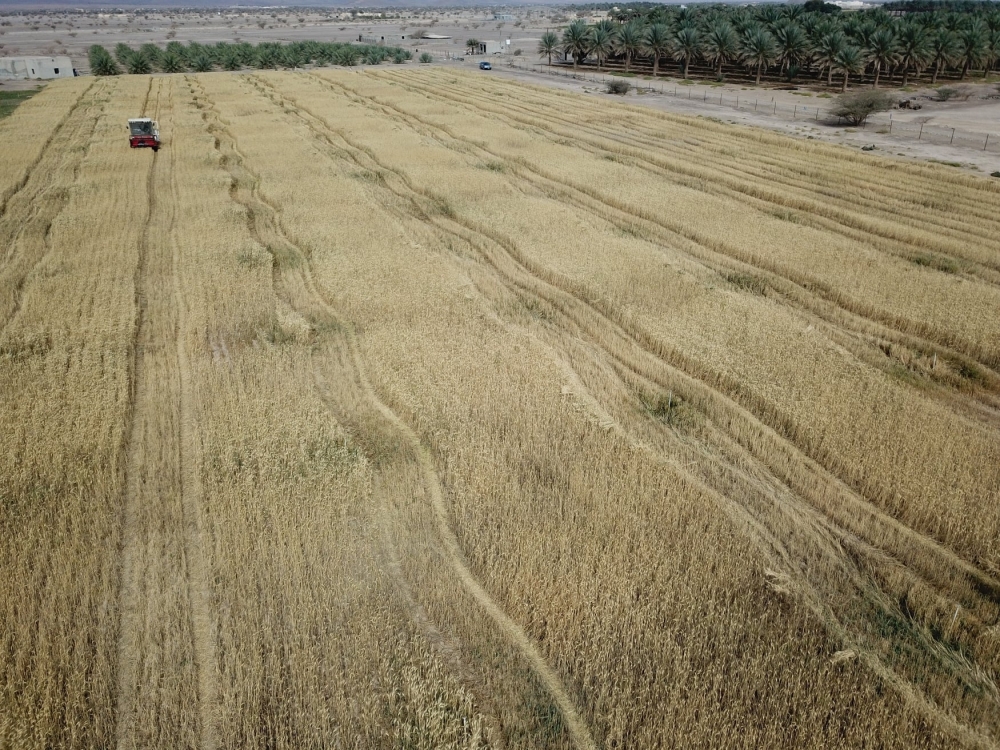 “الفاو” توضح تفاصيل مشروع بناء بيئة مرنة وموارد زراعية ومائية مستدامة في سلطنة عمان