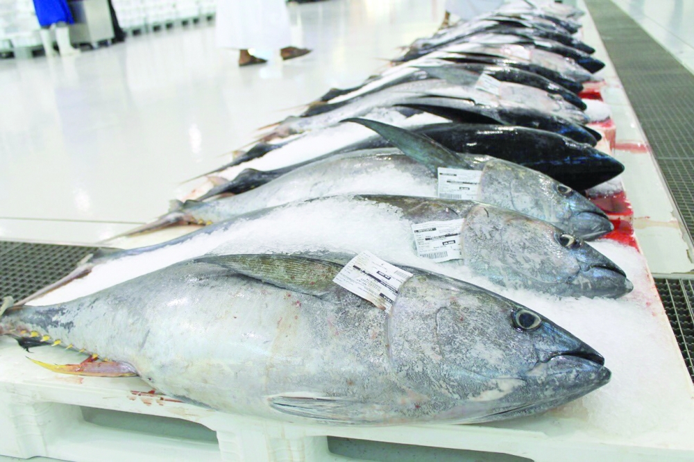 Global warming can impact fish landings in long-term