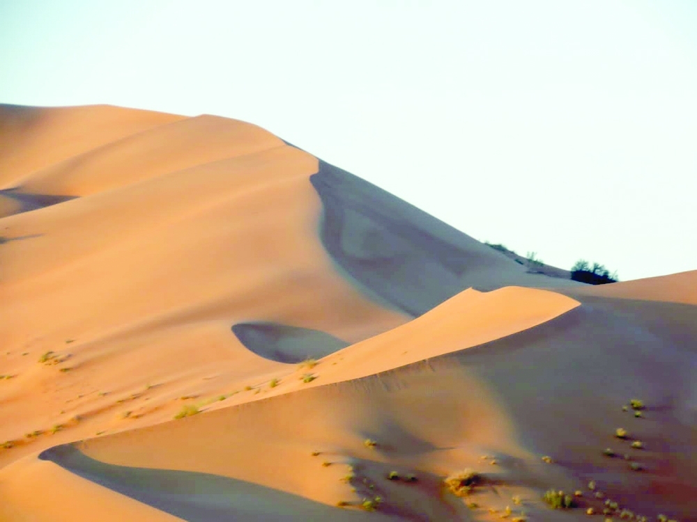 «المزيونة» .. محطة الفرص الواعدة في السياحة والصناعة والاستثمار