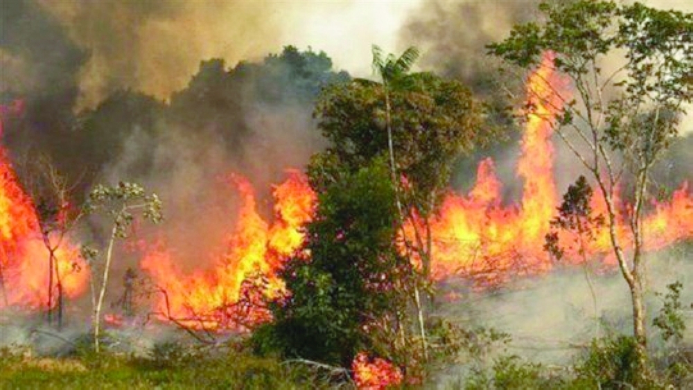 World funds own destruction with $1.8 tn subsidies: Study