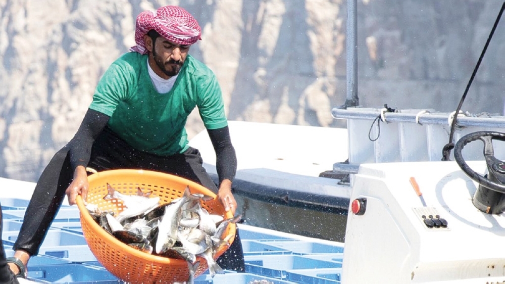 Fish consumption in Oman higher than world average