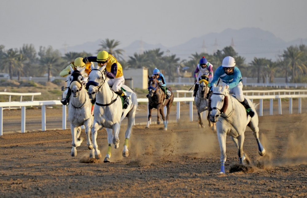 8 أشواط في السباق السادس عشر للخيل بالرحبة