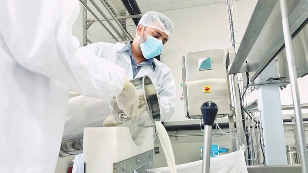 Al Morooj Dairy to expand range of camel milk-based products