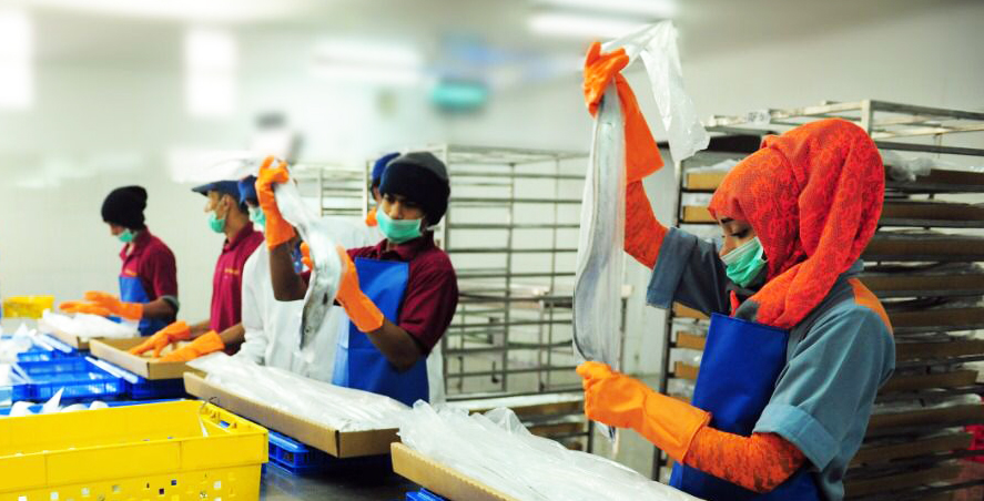 الثروة الزراعية والسمكية وموارد المياه بجنوب الشرقية.. تعمل علىتهيئة البنية الأساسية للقطاع السمكي .. ( نشرة المحافظات ) 2 61fa4c15112d2