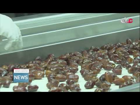 Oman Investment Authority launches project to produce alternative protein from dates