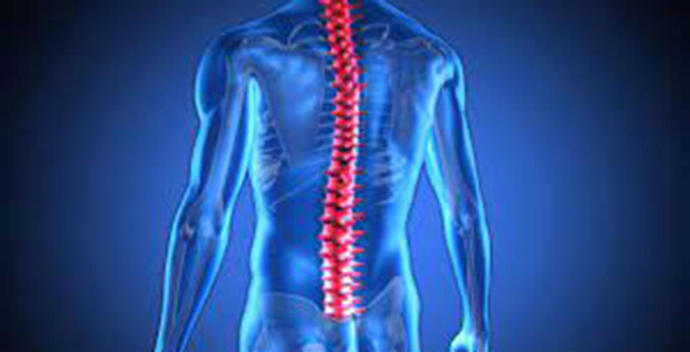 إنجاز جديد.. شريحة تساعد مرضى الشلل على السير مجددًا