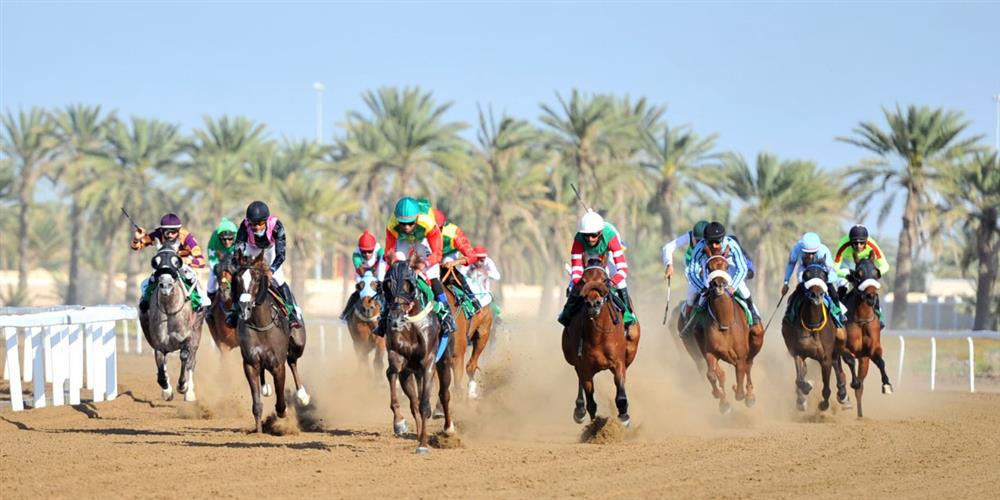 ثمانية أشواط مثيرة في سباق الخيل بالرحبة