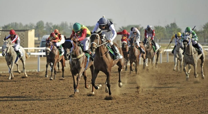 الجمعة.. مضمار الرحبة يشهد السباق الـ16 للخيل