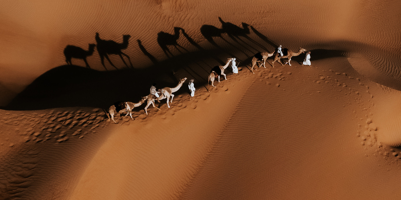 المصور الفوتوغرافي محمد الرزيقي: الطبيعة ألهمتني بتنوّعها وتفرّد جمالها