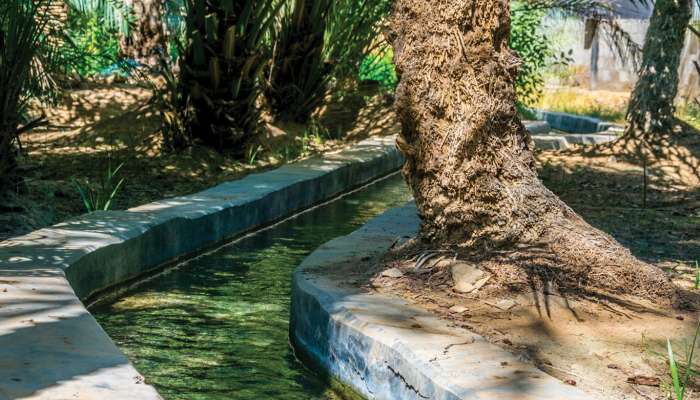 Restoration cost of 59 Aflaj in North Al Batinah reaches OMR800,000