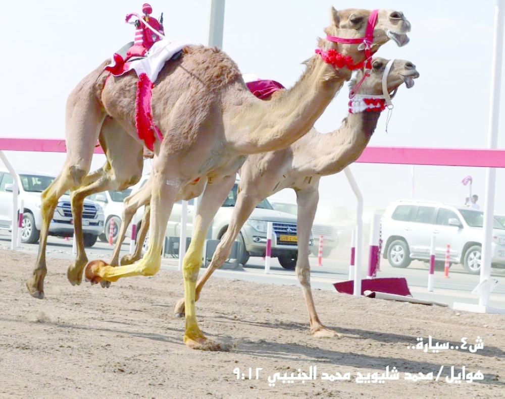 Fierce competition on third day at Al Bashayer Festival