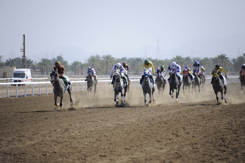 126 خيلا تتنافس في السباق السابع عشر على مضمار الرحبة .. غداً