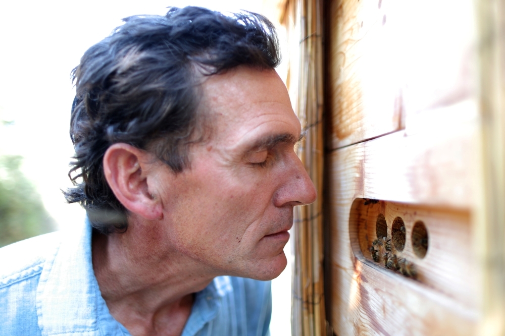 How coronavirus steals sense of smell