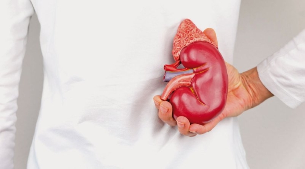 Registration for organ donation after death rises